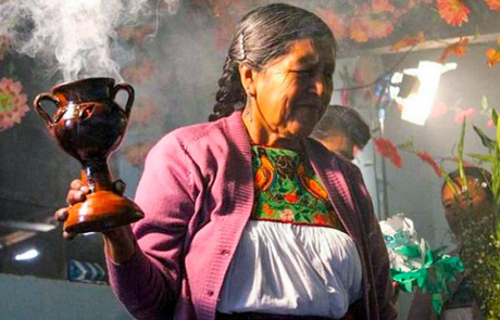 Productos naturales y herbolaria en Ruíz Cortínez